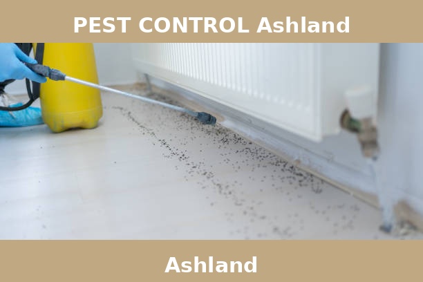 PEST CONTROL Ashland